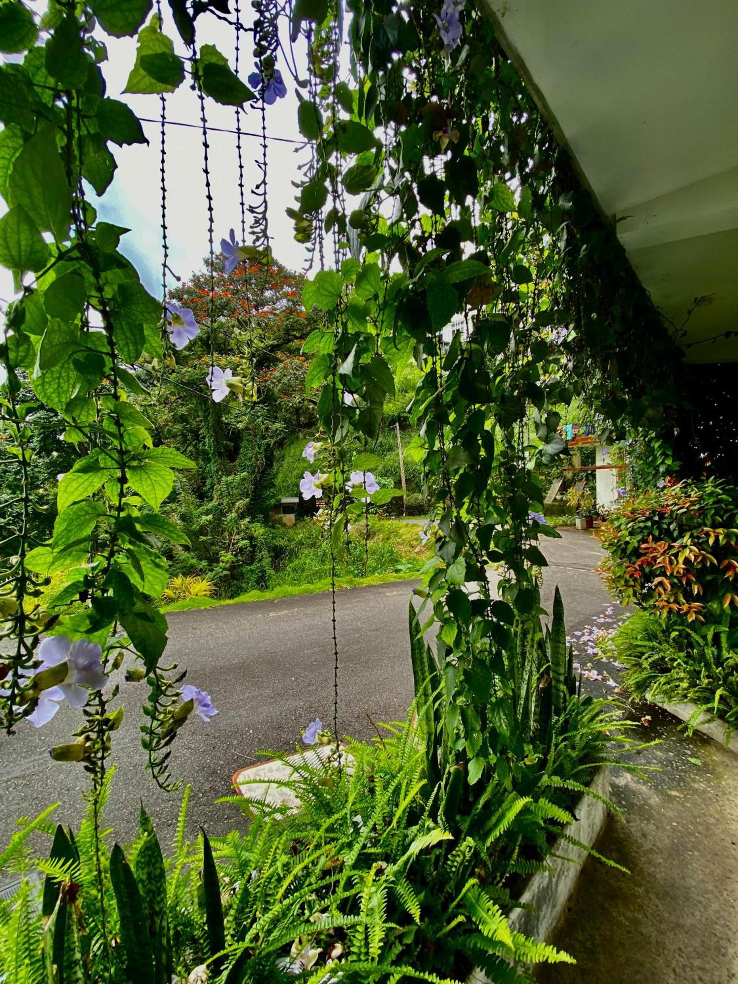 Sesatha Lake Kandy Luaran gambar