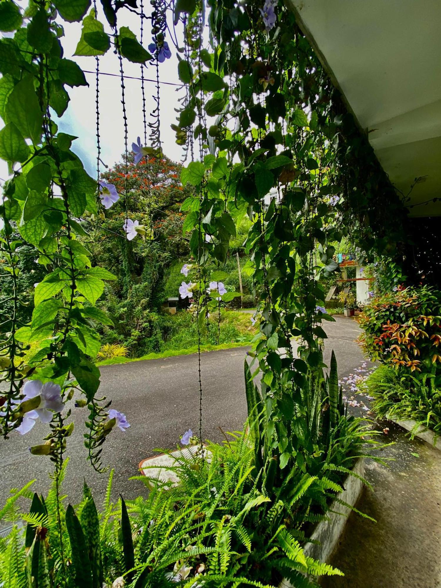 Sesatha Lake Kandy Hotel Luaran gambar